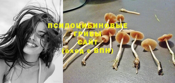 PSILOCYBIN Нефтекумск