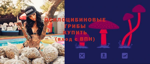 тгк Няндома