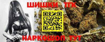 индика Ирбит