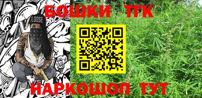 индика Ирбит