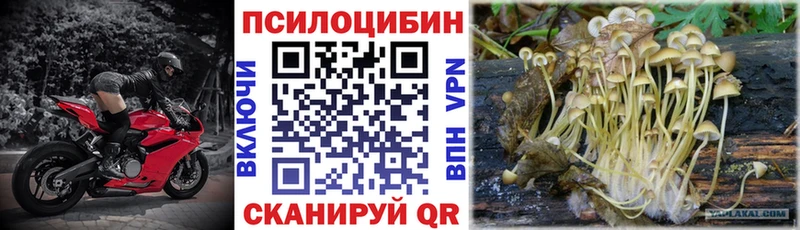 Галлюциногенные грибы Psilocybine cubensis  Тихорецк 