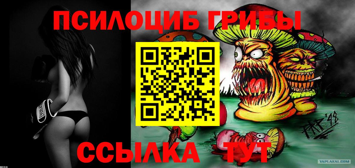 Тихорецк  Псилоцибиновые грибы Magic Shrooms  Вход с VPN  Галлюциногенные грибы Psilocybine cubensis 