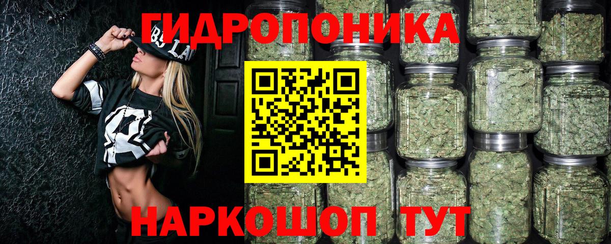Тихорецк  Канабис сатива  Вход с VPN  Марихуана марихуана  Бошки марихуана OG Kush  Шишки марихуана планчик 